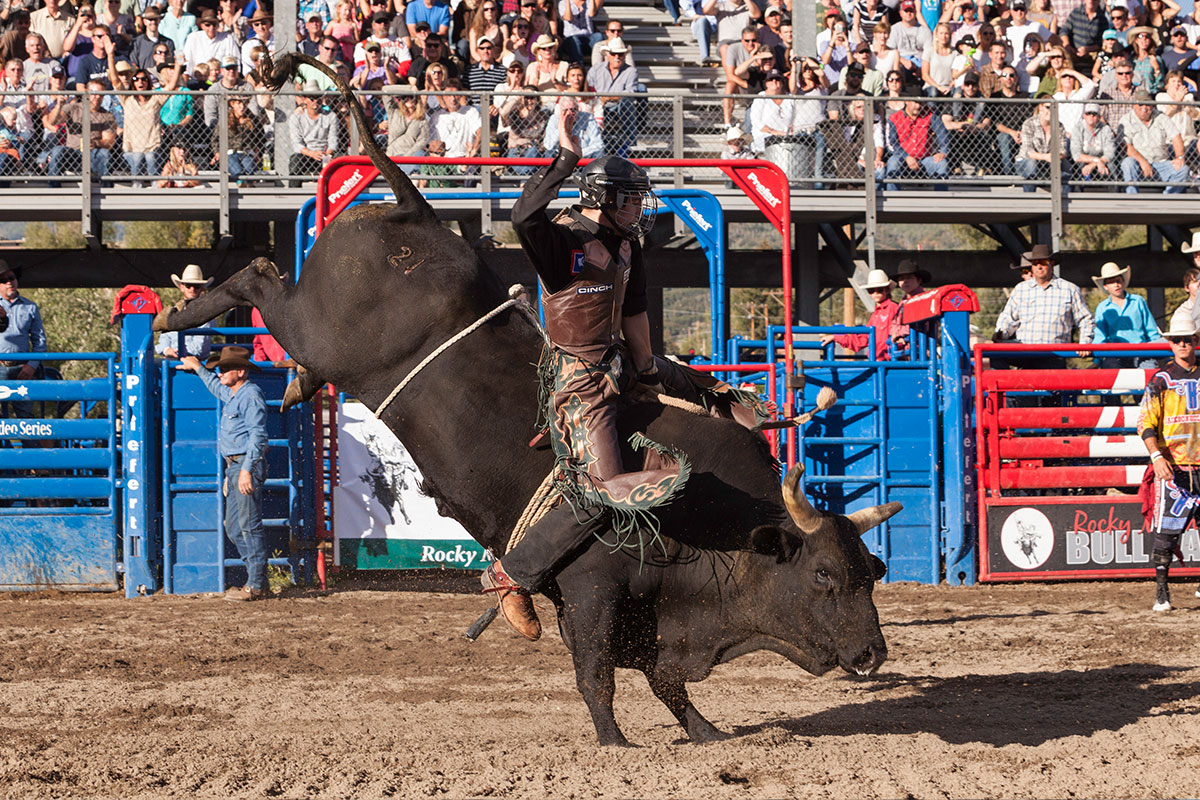 Riding in the Rockies Bull Riding