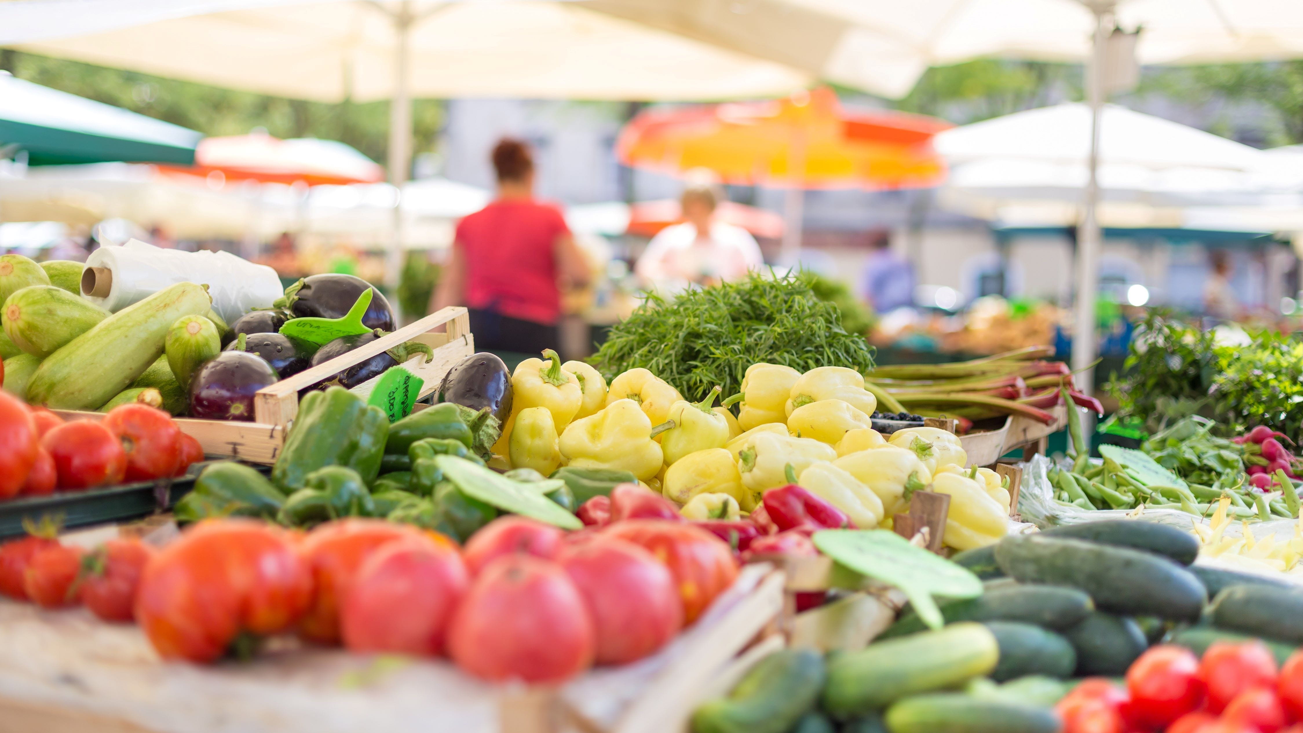 Steamboat Springs Farmers Market
